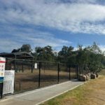Tree Planting at Rutherford Off Leash Dog Park, Maitland