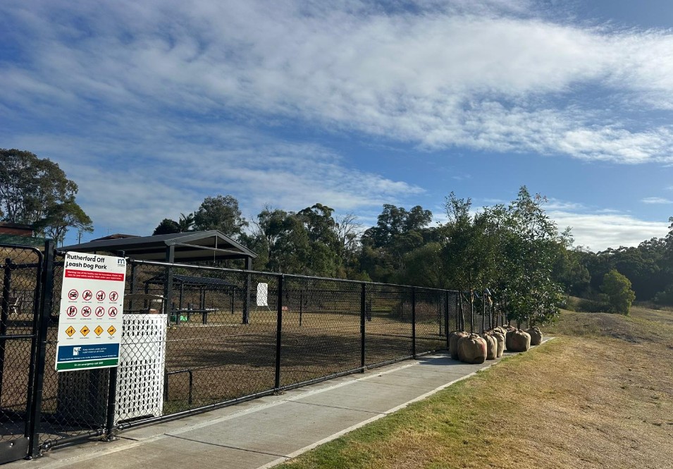 Tree Planting at Rutherford Off Leash Dog Park, Maitland
