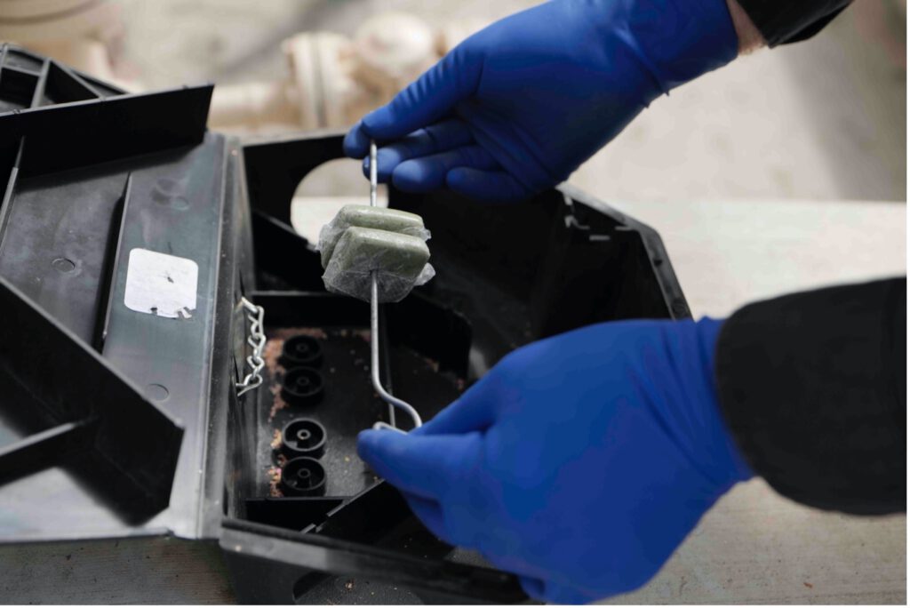 Rat Bait Laws in Australia: Key Changes You Need to Know