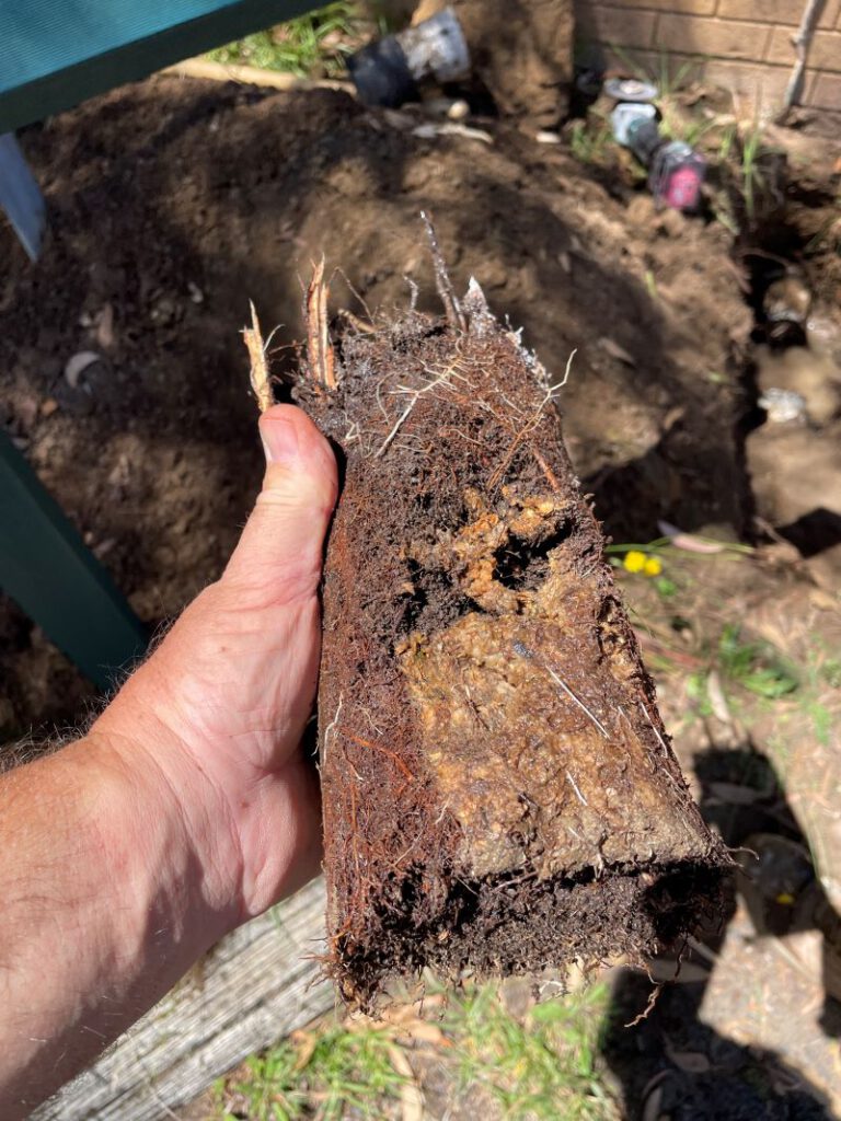Clay Soil in Caboolture: The Hidden Threat to Your Pipes