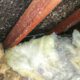 Asbestos Concerns: Steps to Take Before Hiring a Skip