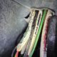 Electrical Faults in Mid North Coast Properties: Ants, Rats, and Mice