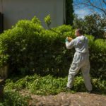 Get Rid of Green Waste: 4 Effective Solutions