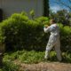 Get Rid of Green Waste: 4 Effective Solutions