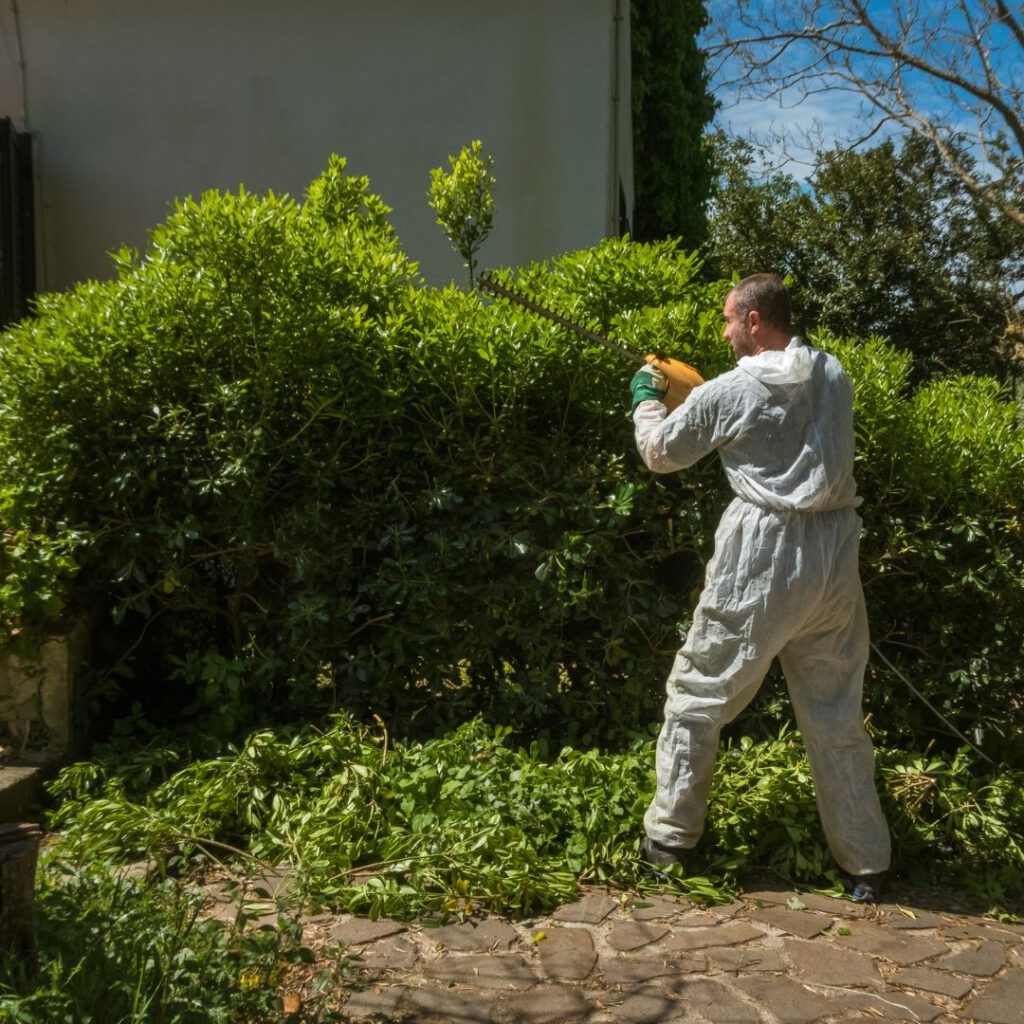Green Waste Solutions: 4 Effective Ways to Dispose of It
