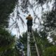 Electrical Defect Notice: Understanding and Responding on the Mid North Coast