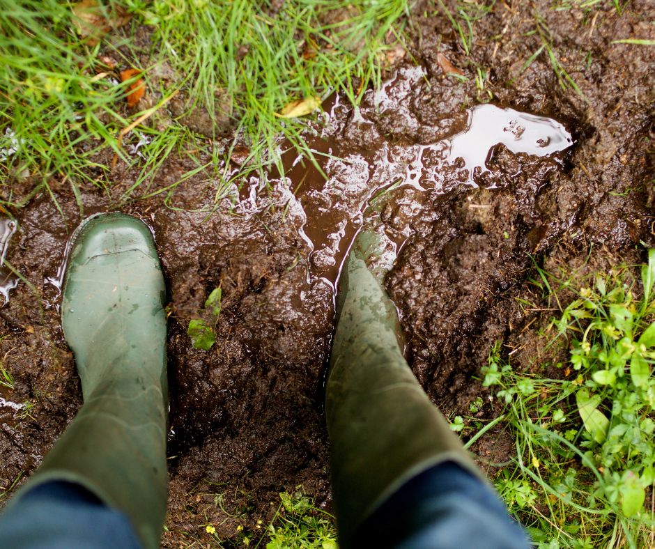 Drainage Issues
