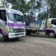 Garden Clean-Up in the Blue Mountains: 4 Disposal Options