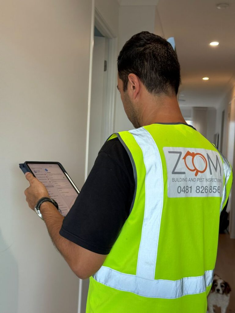Building and Pest Inspection Vs. Building-Only: Brisbane Guide