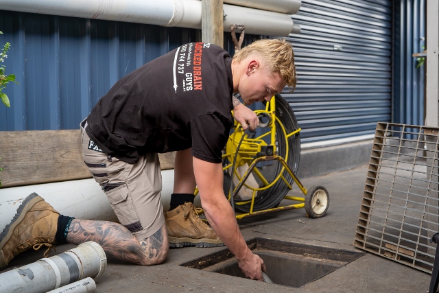 Sewer Pipe Problems in the Sutherland Shire: How to Identify Them