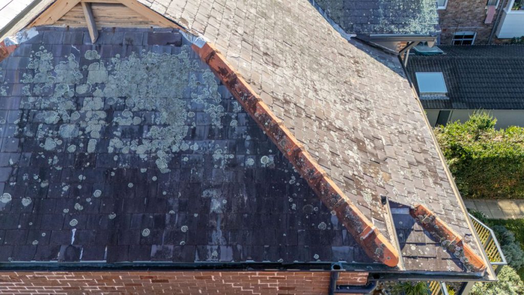 Slate Roof Leak Support: Who to Contact for Repairs?