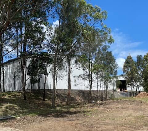 feral weeds cleared