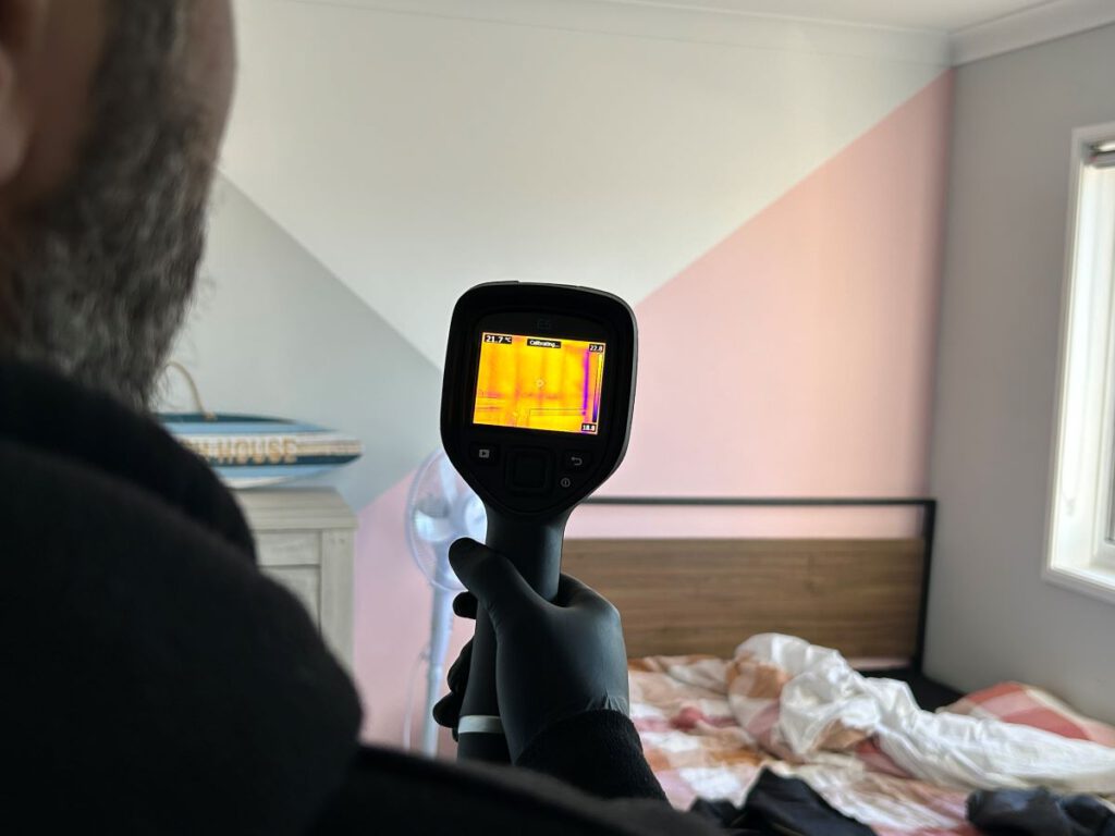 Termite Inspection Sydney: What You Need to Know Before Buying