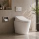 Bidet Desire: Why Australians Return From Japan Inspired