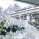 Larger Gutters for Your Central Coast Home: A Sizing Guide