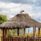 Removing a Gazebo or Bali Hut in Sydney Efficiently